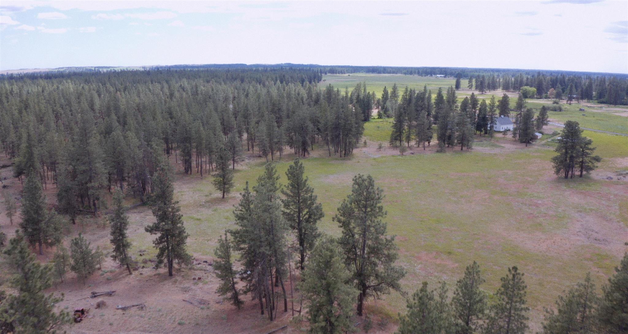 19619 South Culver Road Cheney, WA 99004 - Photo 33 of 40