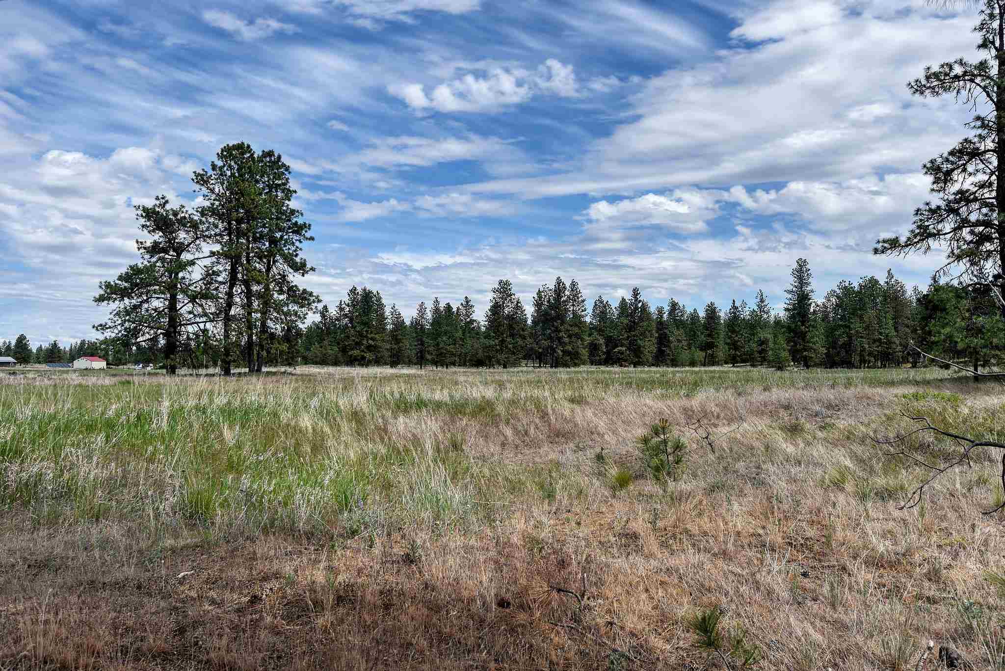 19619 South Culver Road Cheney, WA 99004 - Photo 35 of 40