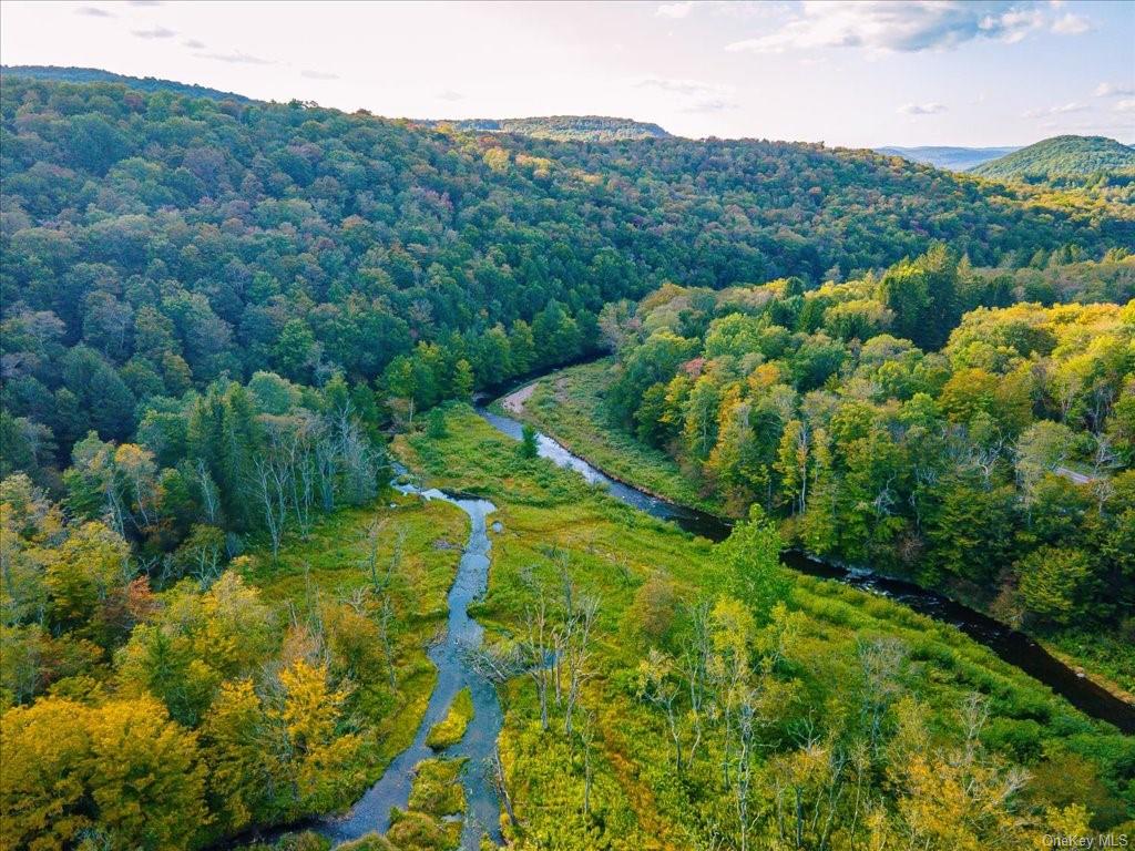 140 Old Liberty Road, Livingston Manor, NY 12758 Compass