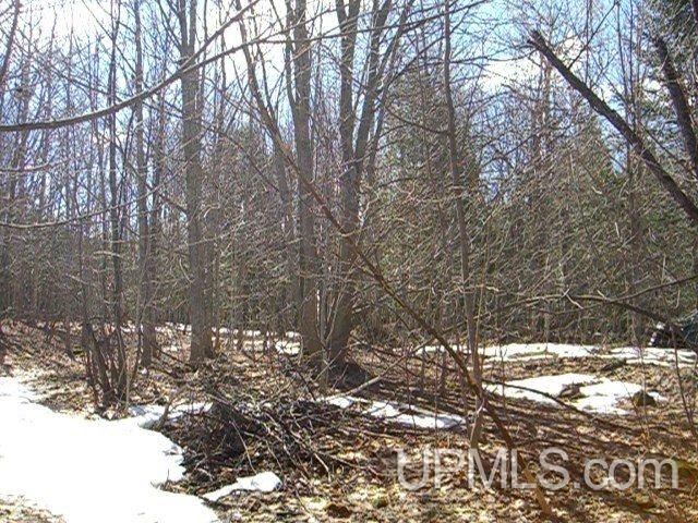 50884 Mesnard Location Road Hancock, MI 49930 - Photo 26 of 26