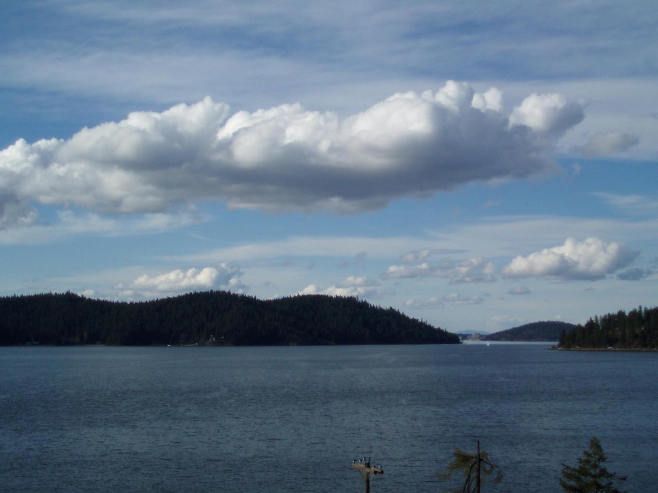North View
