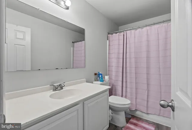 a bathroom with a sink a toilet and shower curtain