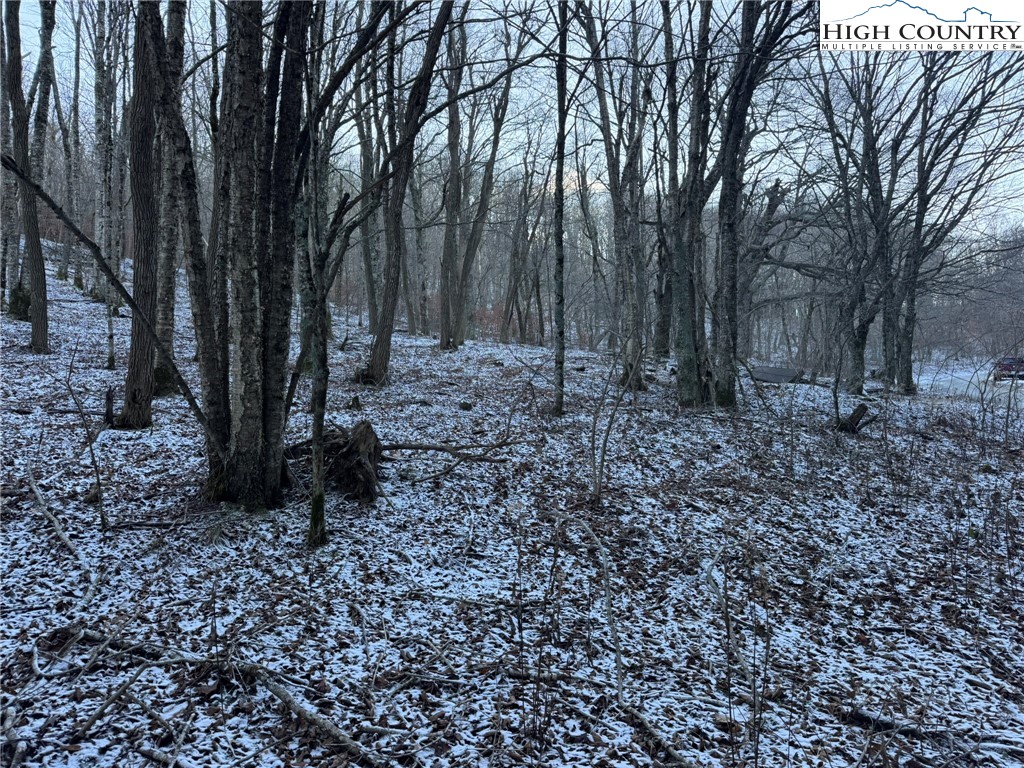 Spring Street Boone, NC 28607 - Photo 11 of 18 a view of backyard with trees