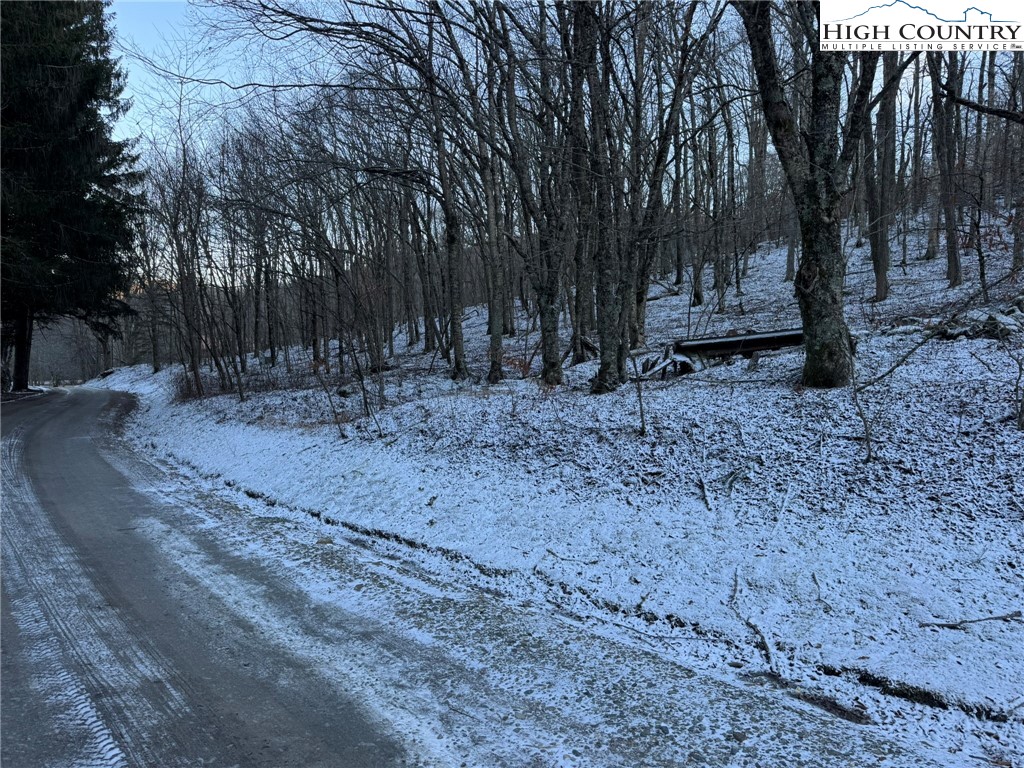 Spring Street Boone, NC 28607 - Photo 12 of 18 a backyard of a house with lots of green space