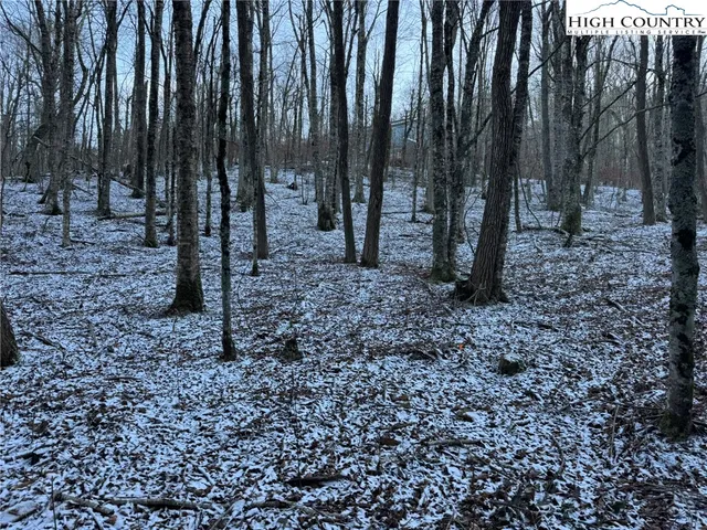 a view of a backyard with trees