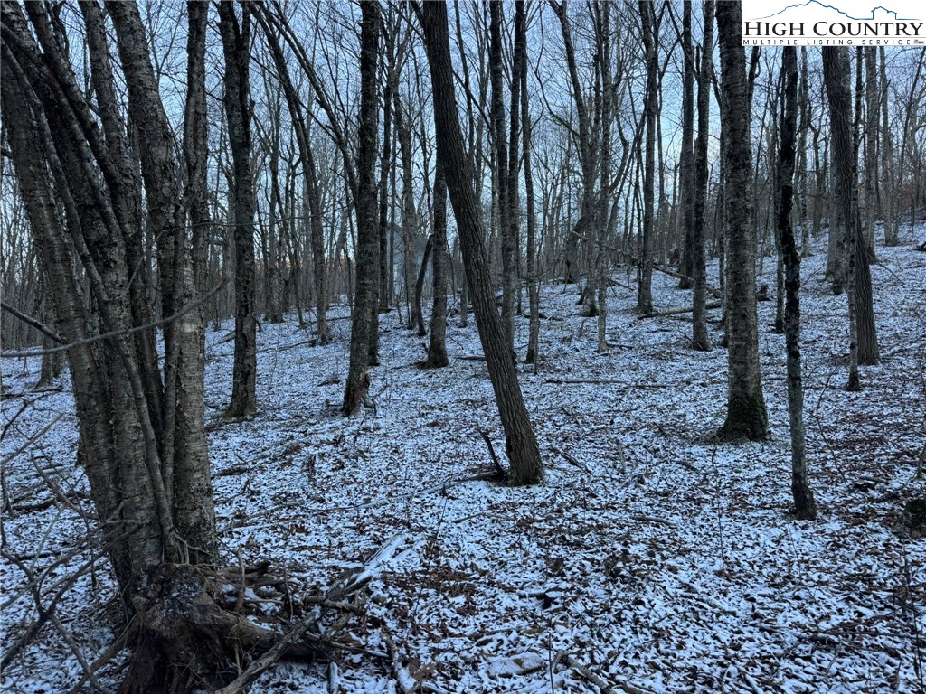 Spring Street Boone, NC 28607 - Photo 14 of 18 a backyard of a house with lots of green space
