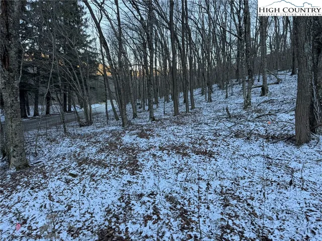a view of a yard with lots of trees