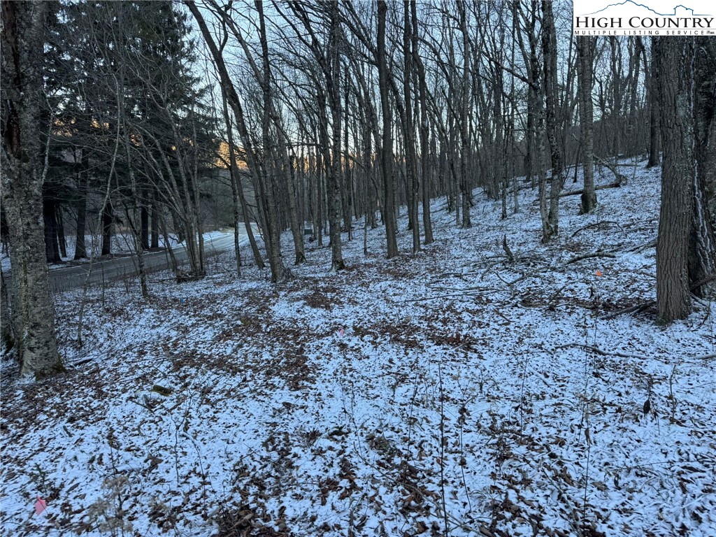 Spring Street Boone, NC 28607 - Photo 15 of 18 a view of a yard with lots of trees