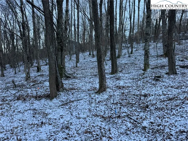 a view of a yard with trees