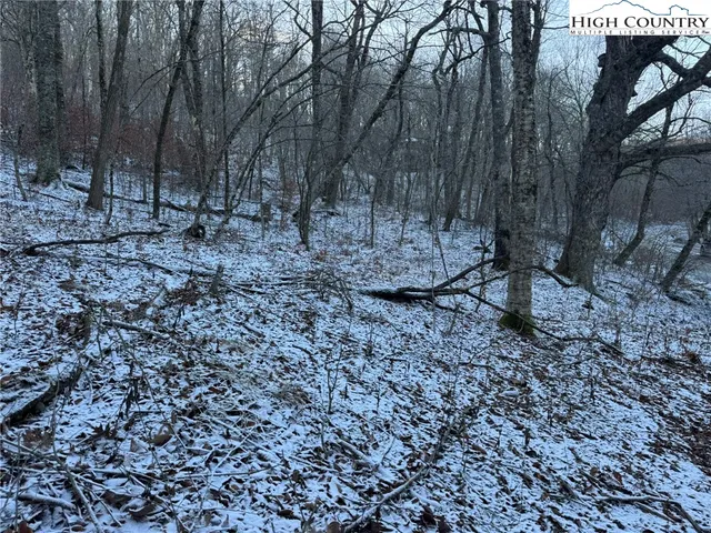 a view of a yard with a tree