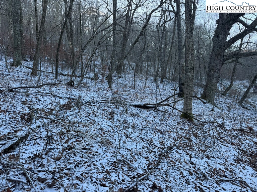 Spring Street Boone, NC 28607 - Photo 17 of 18 a view of a yard with a tree