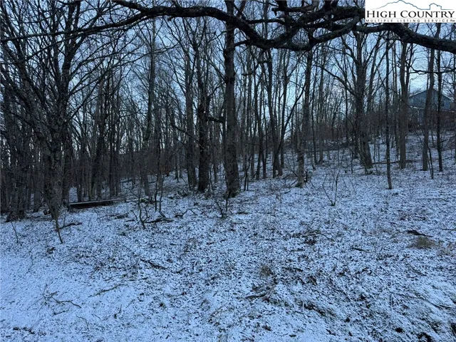 a view of a yard with lots of trees