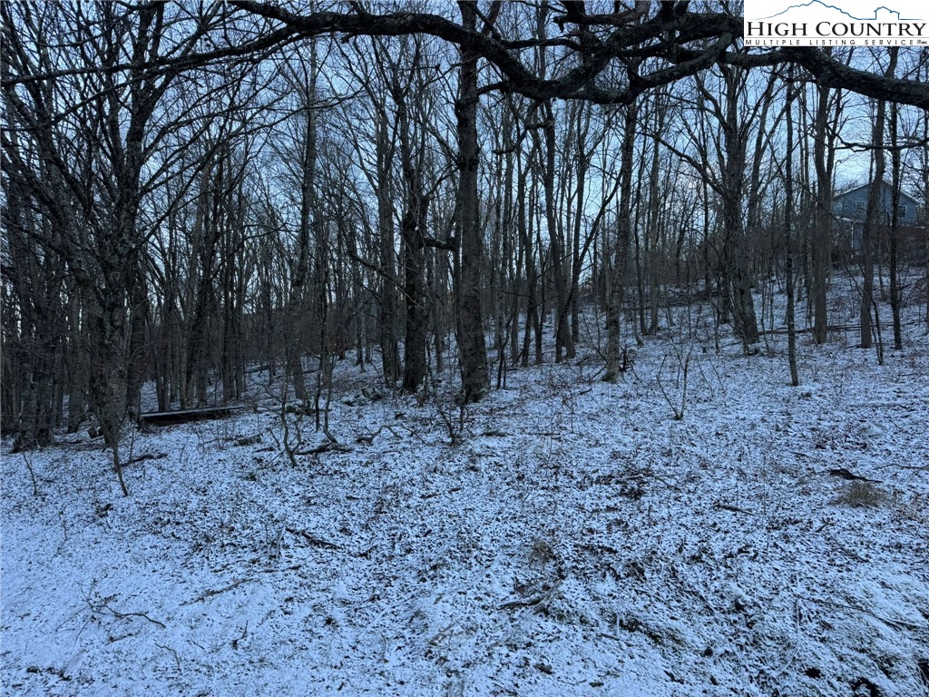 Spring Street Boone, NC 28607 - Photo 18 of 18 a view of a yard with lots of trees