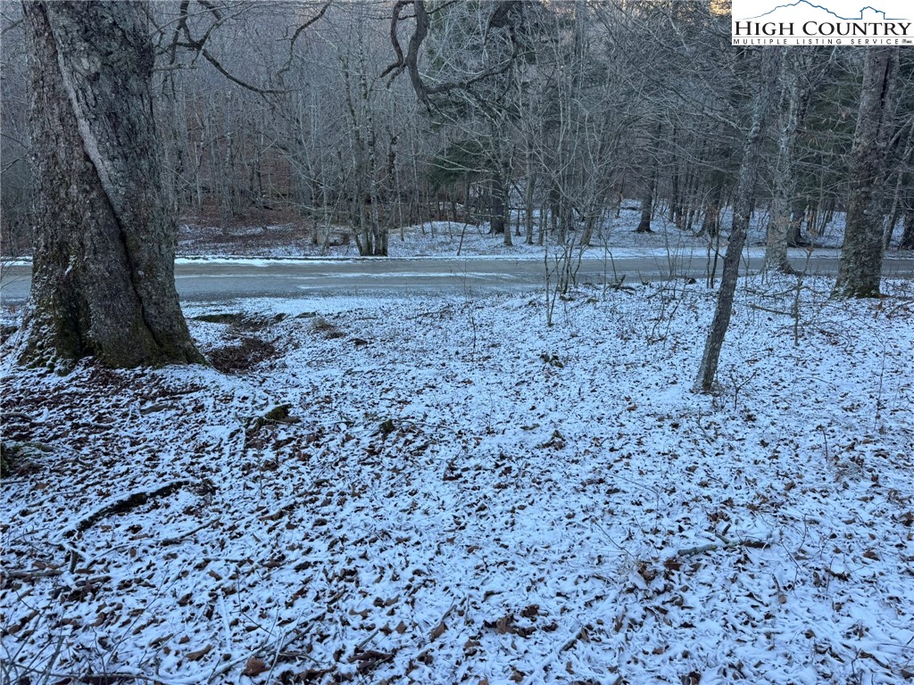 Spring Street Boone, NC 28607 - Photo 2 of 18 a backyard of a house with lots of green space