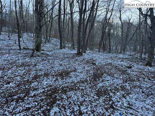 a view of outdoor space with lots of trees