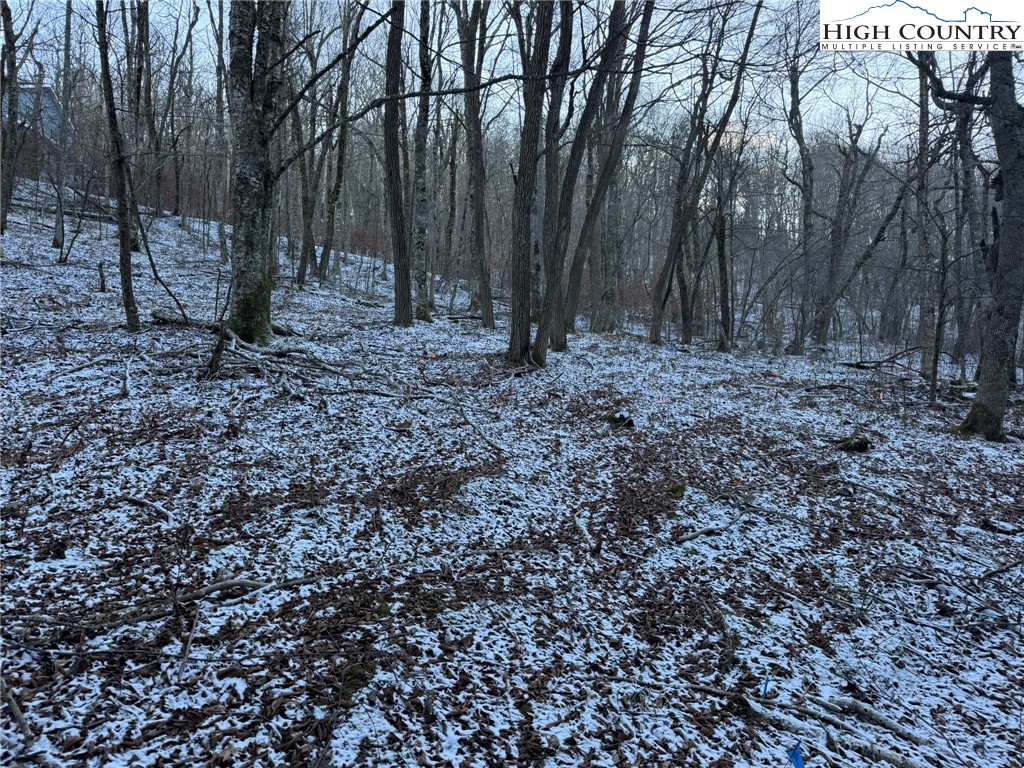 Spring Street Boone, NC 28607 - Photo 3 of 18 a view of outdoor space with lots of trees