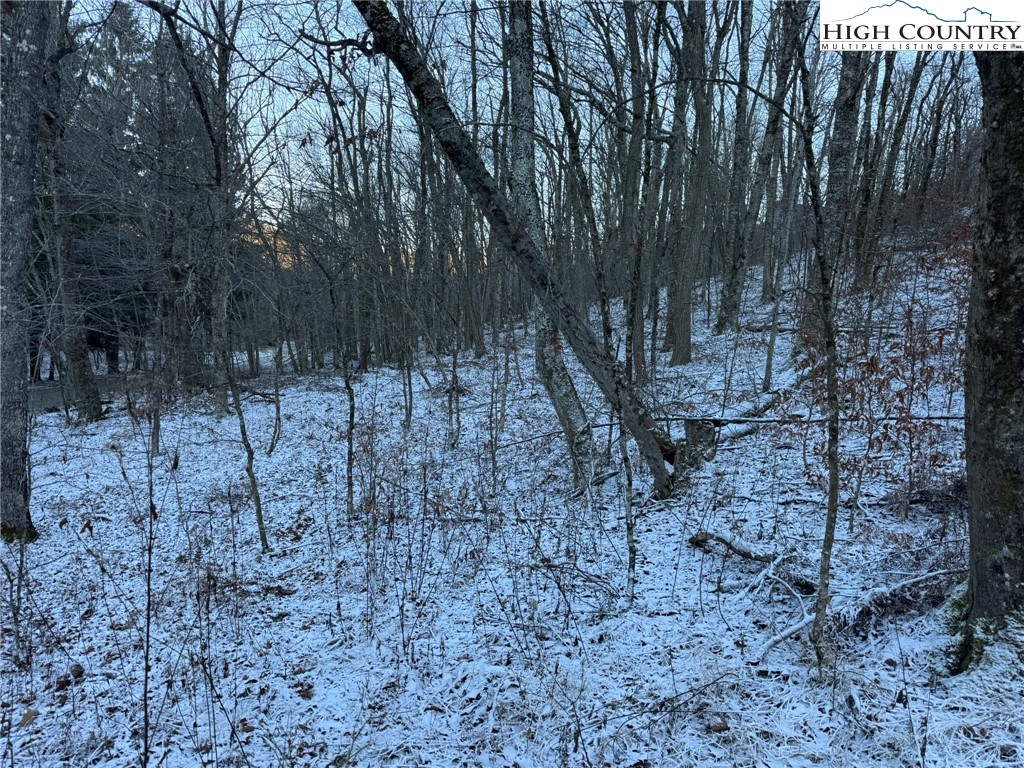 Spring Street Boone, NC 28607 - Photo 4 of 18 a view of a yard with trees