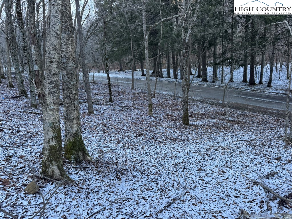 Spring Street Boone, NC 28607 - Photo 5 of 18 a view of outdoor space with lots of trees