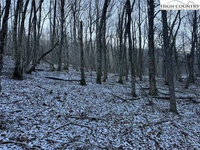 a view of backyard with green space