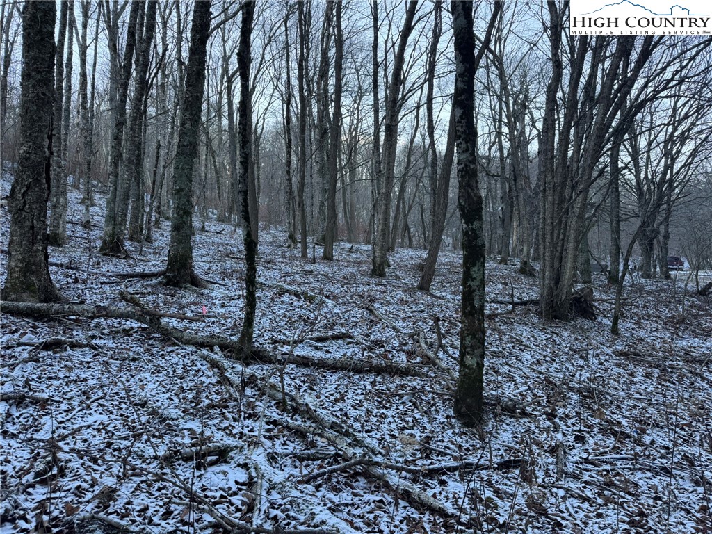 Spring Street Boone, NC 28607 - Photo 10 of 18 a backyard of a house with lots of green space