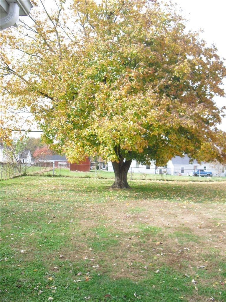 117 Colony Road Lancaster, KY 40444 - Photo 6 of 17 Photo 6