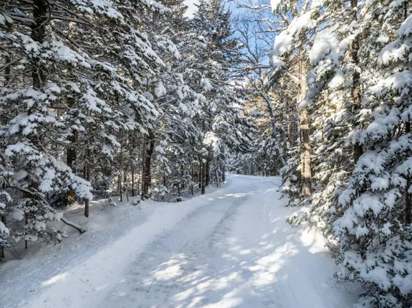 $779,900 | Undisclosed Address, Whiting, ME 04691