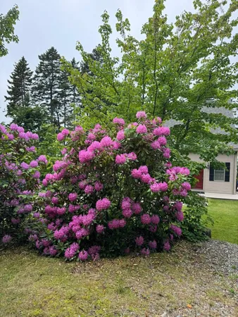 $779,900 | Undisclosed Address, Whiting, ME 04691