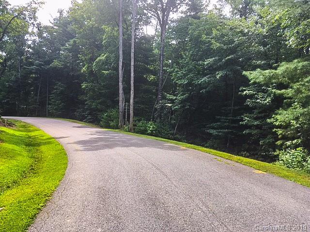 33 Jake Ridge Trail, Unit 28 Fletcher, NC 28732 - Photo 1 of 11 a view of a backyard
