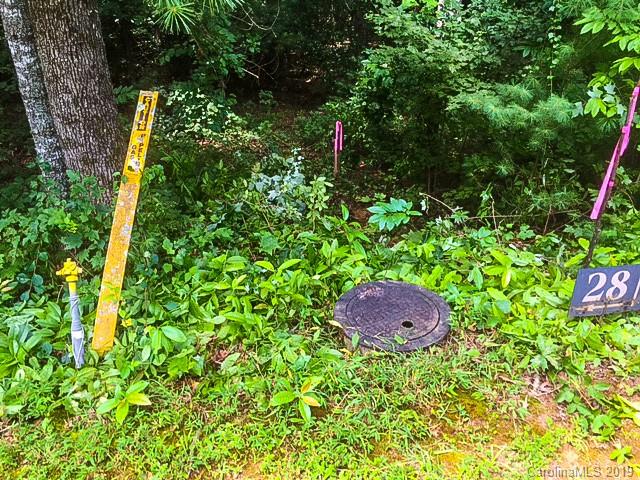 33 Jake Ridge Trail, Unit 28 Fletcher, NC 28732 - Photo 11 of 11 a yard view and a yard