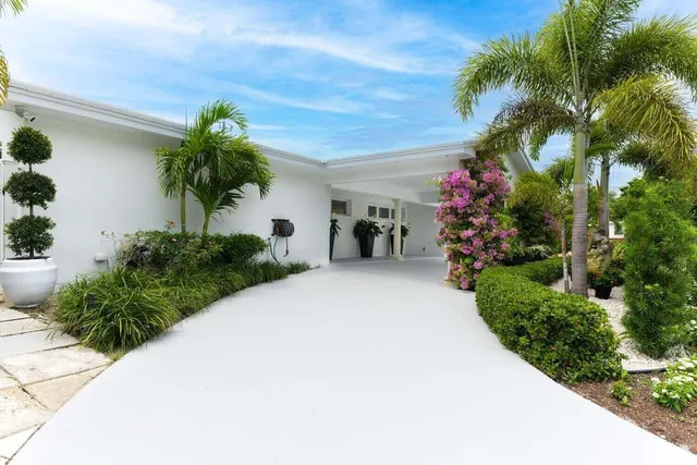 a potted plant sitting in front of a house