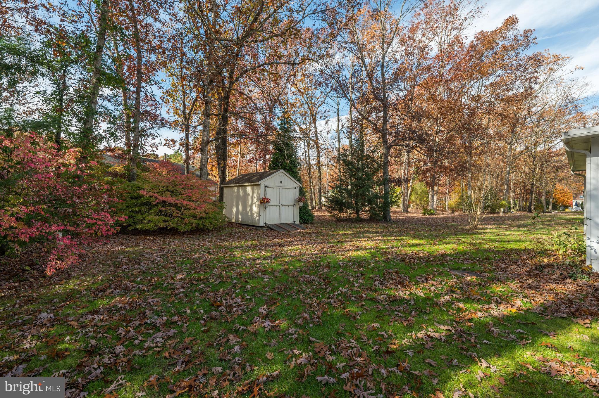13 Spruce Avenue Hammonton, NJ 08037 - Photo 22 of 25 over looking back yard and huge shed