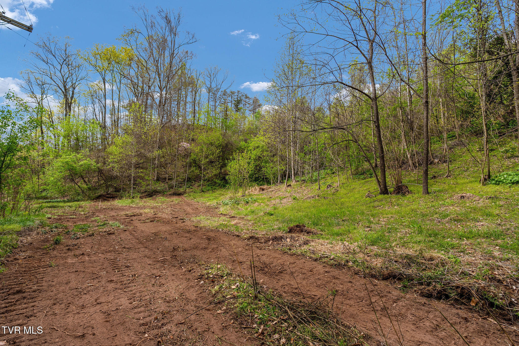 Tbd Chambers Drive Elizabethton, TN 37643 - Photo 1 of 25 DSC03923