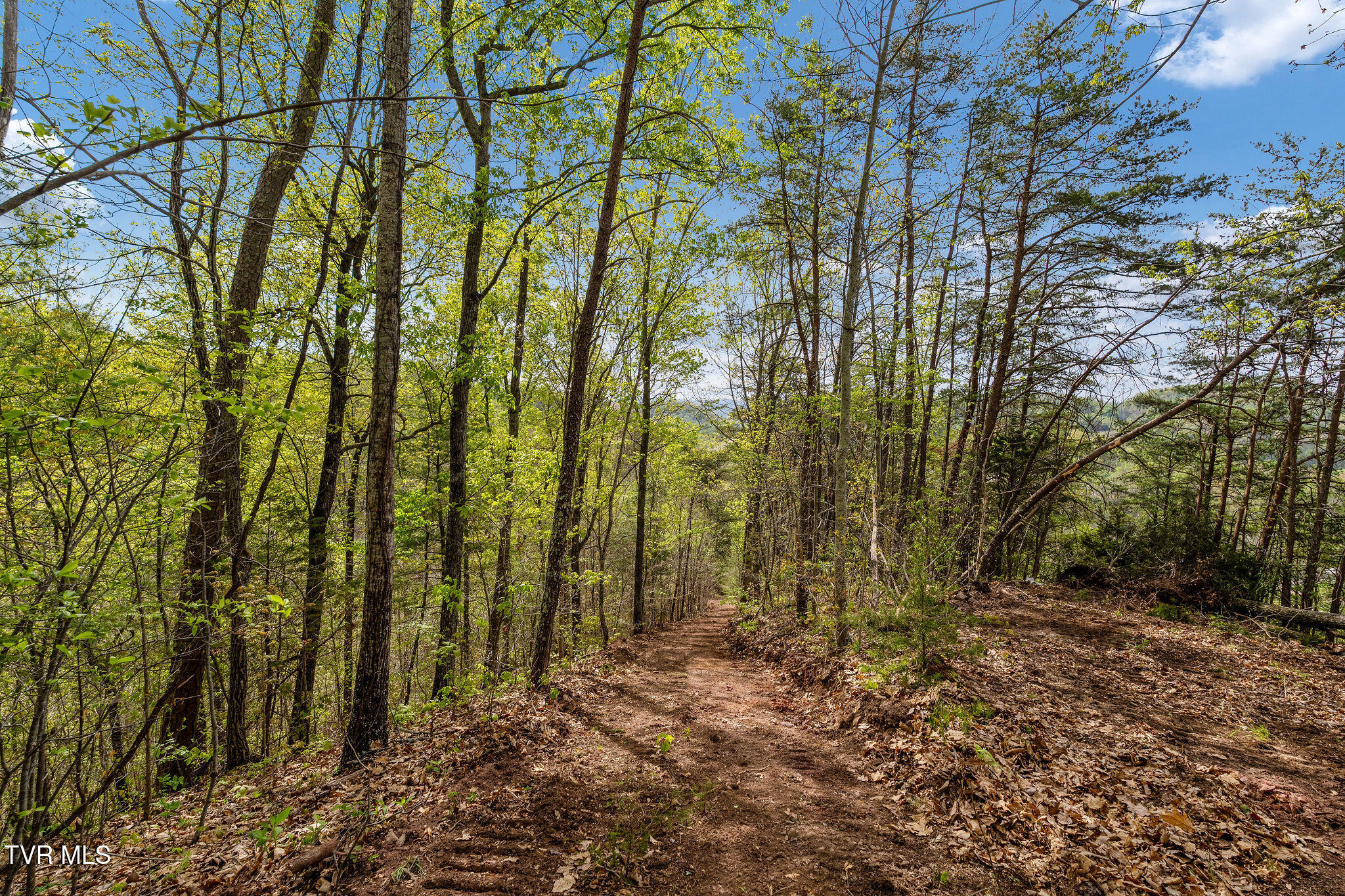 Tbd Chambers Drive Elizabethton, TN 37643 - Photo 20 of 25 DSC03917