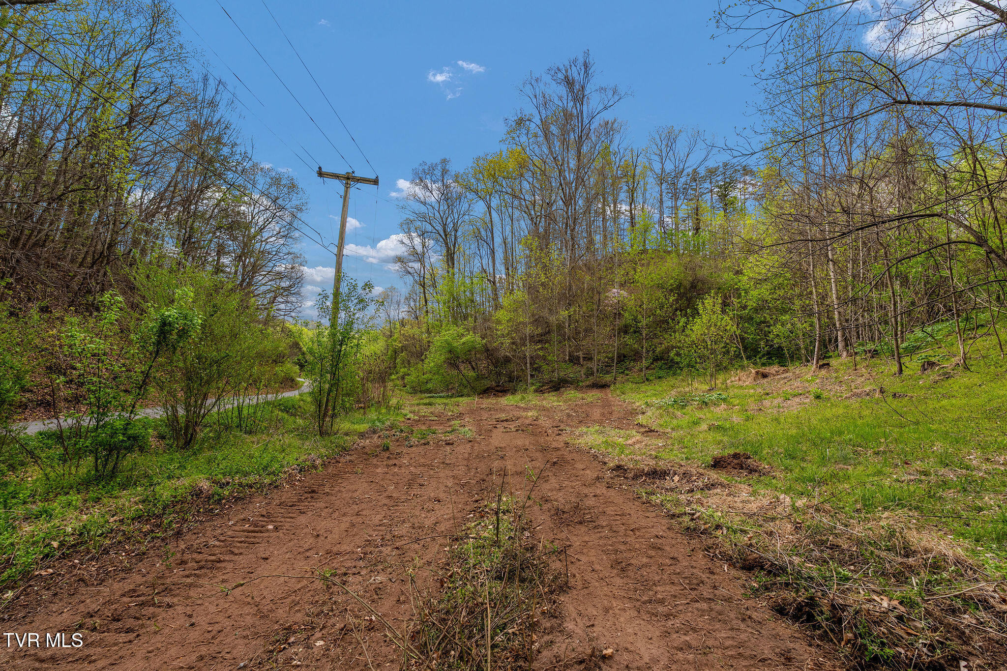 Tbd Chambers Drive Elizabethton, TN 37643 - Photo 2 of 25 DSC03922