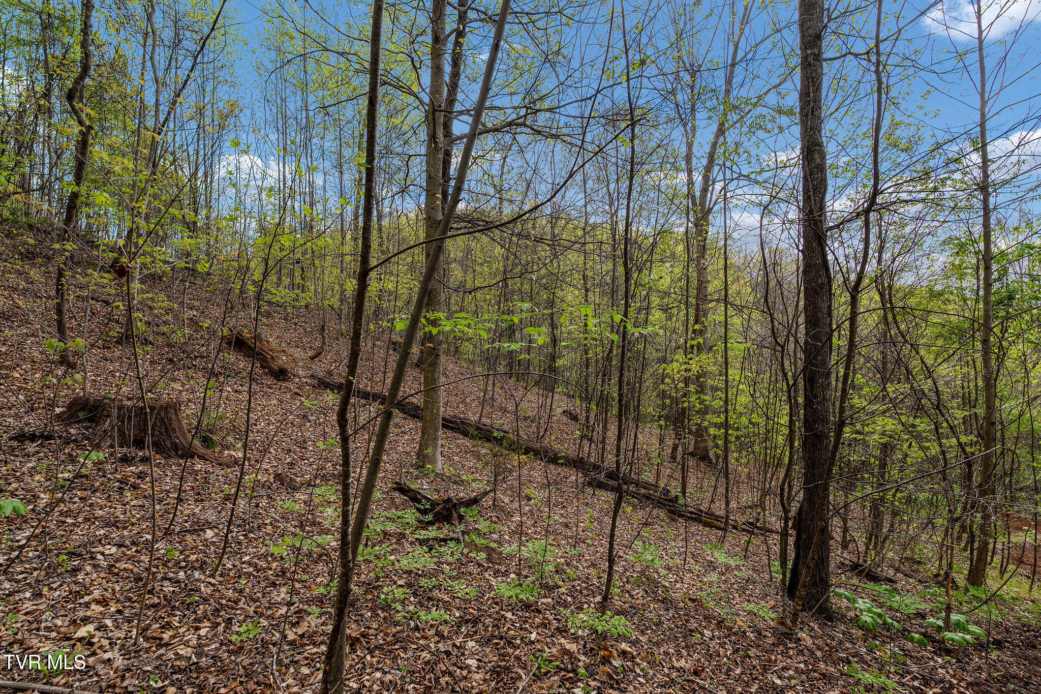 Tbd Chambers Drive Elizabethton, TN 37643 - Photo 22 of 25 DSC03919
