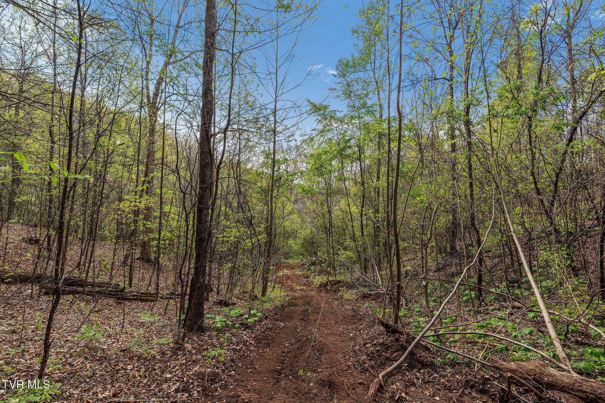Tbd Chambers Drive Elizabethton, TN 37643 - Photo 23 of 25 DSC03920