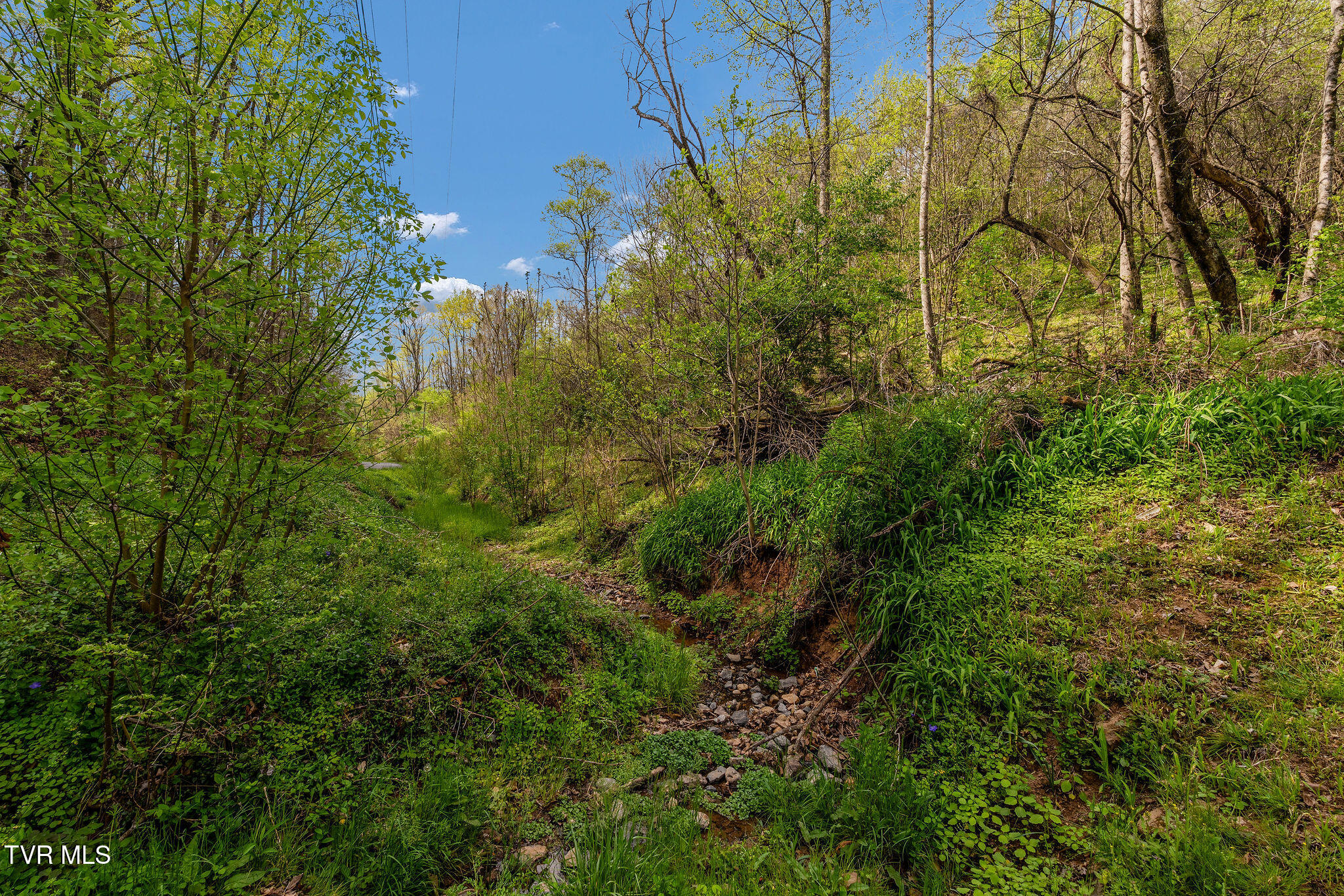 Tbd Chambers Drive Elizabethton, TN 37643 - Photo 25 of 25 DSC03925