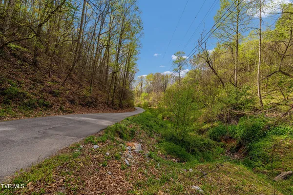 $65,000 | Tbd Chambers Drive, Elizabethton, TN 37643