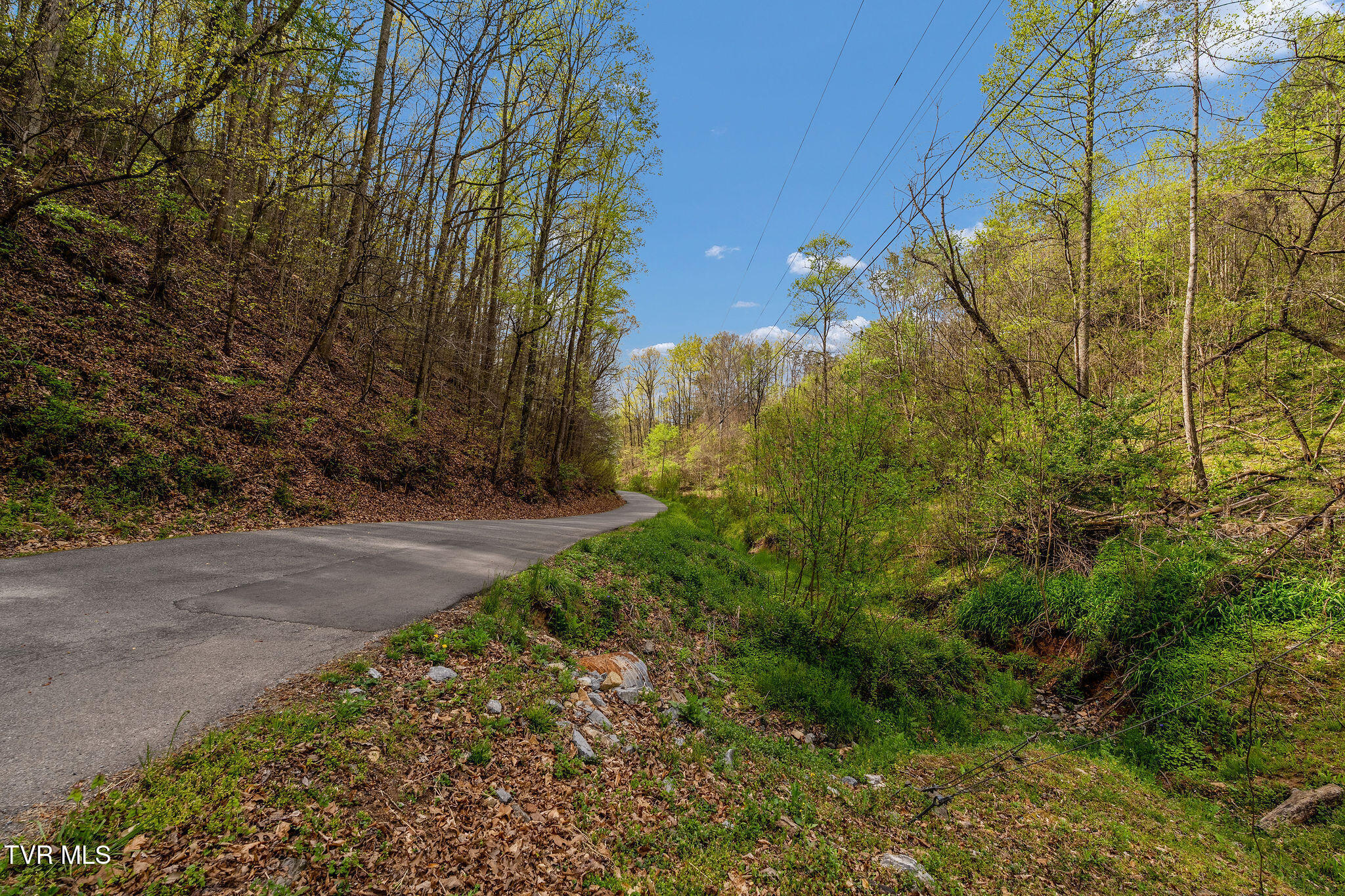 Tbd Chambers Drive Elizabethton, TN 37643 - Photo 3 of 25 DSC03924