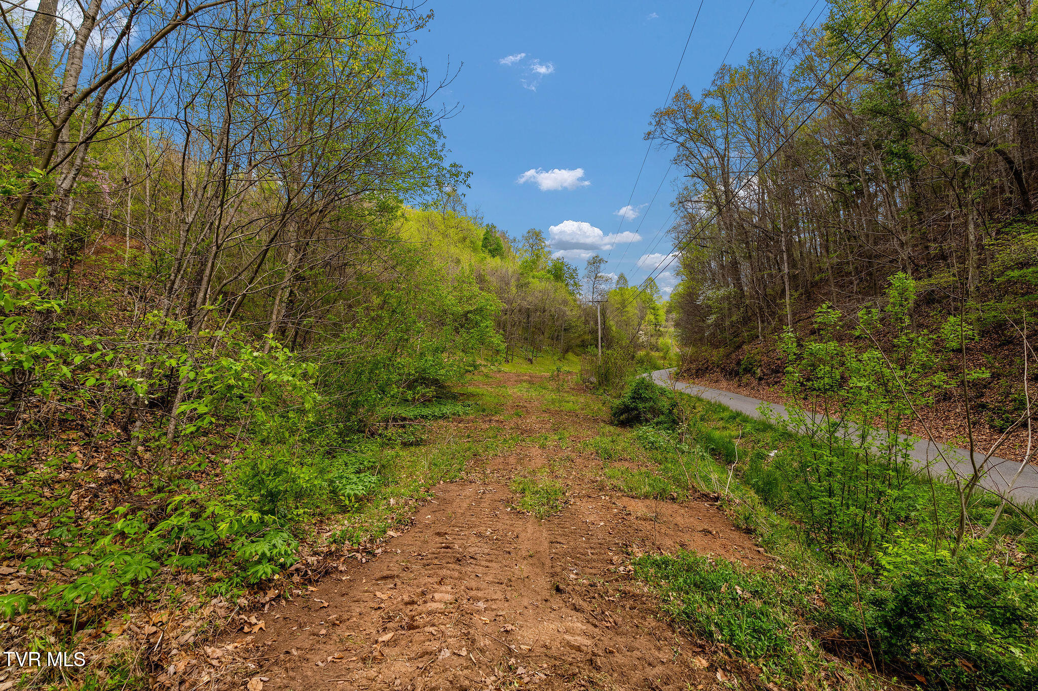 Tbd Chambers Drive Elizabethton, TN 37643 - Photo 6 of 25 DSC03914