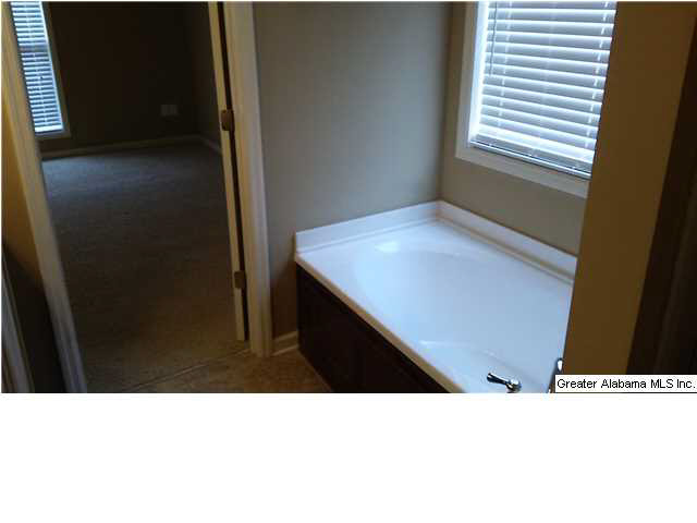 3520 Sprayberry Road Pell City, AL 35125 - Photo 10 of 18