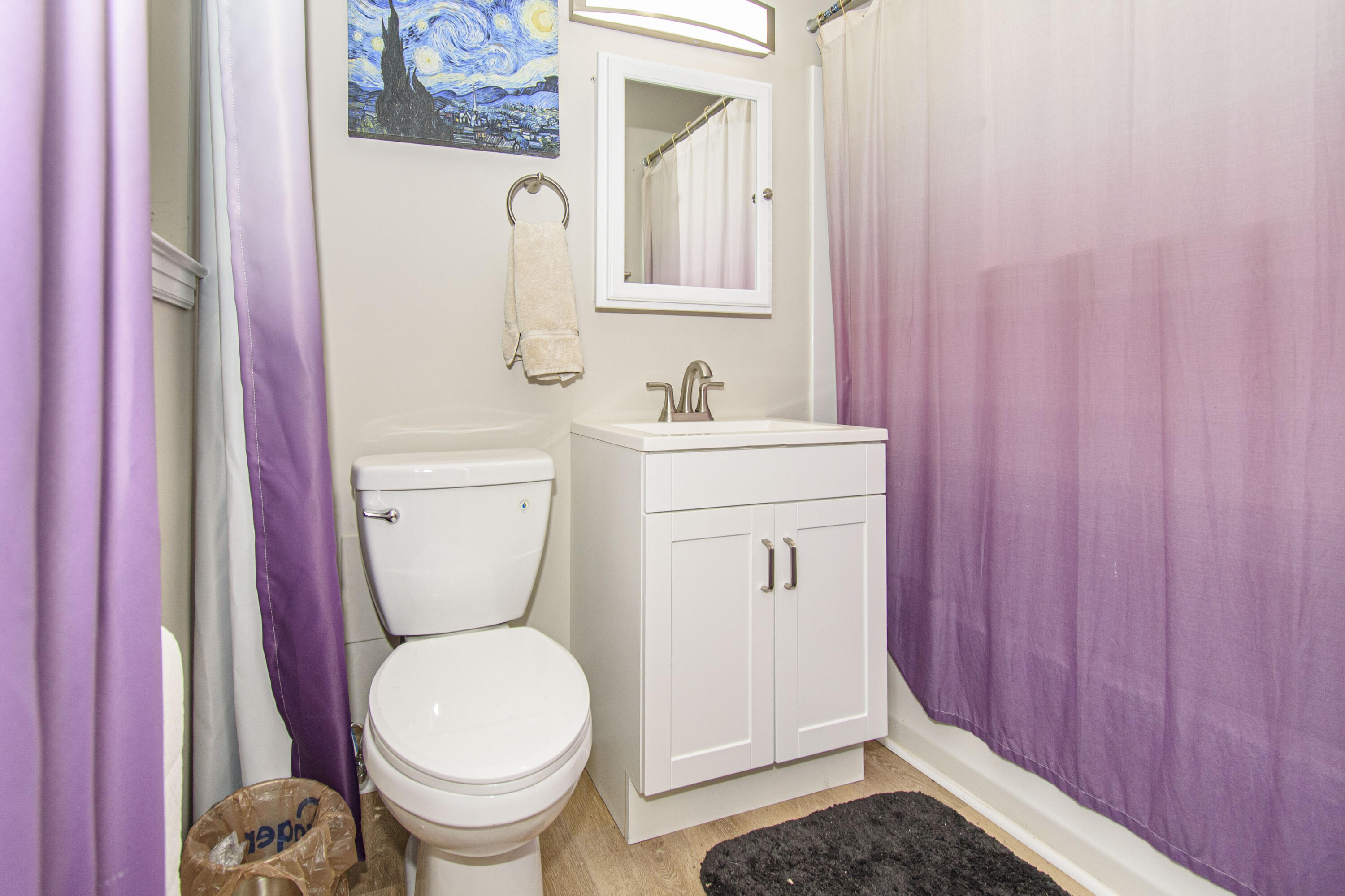 2801 Flatwoods Road Elliston, VA 24087 - Photo 18 of 56 a bathroom with a toilet a sink and a mirror
