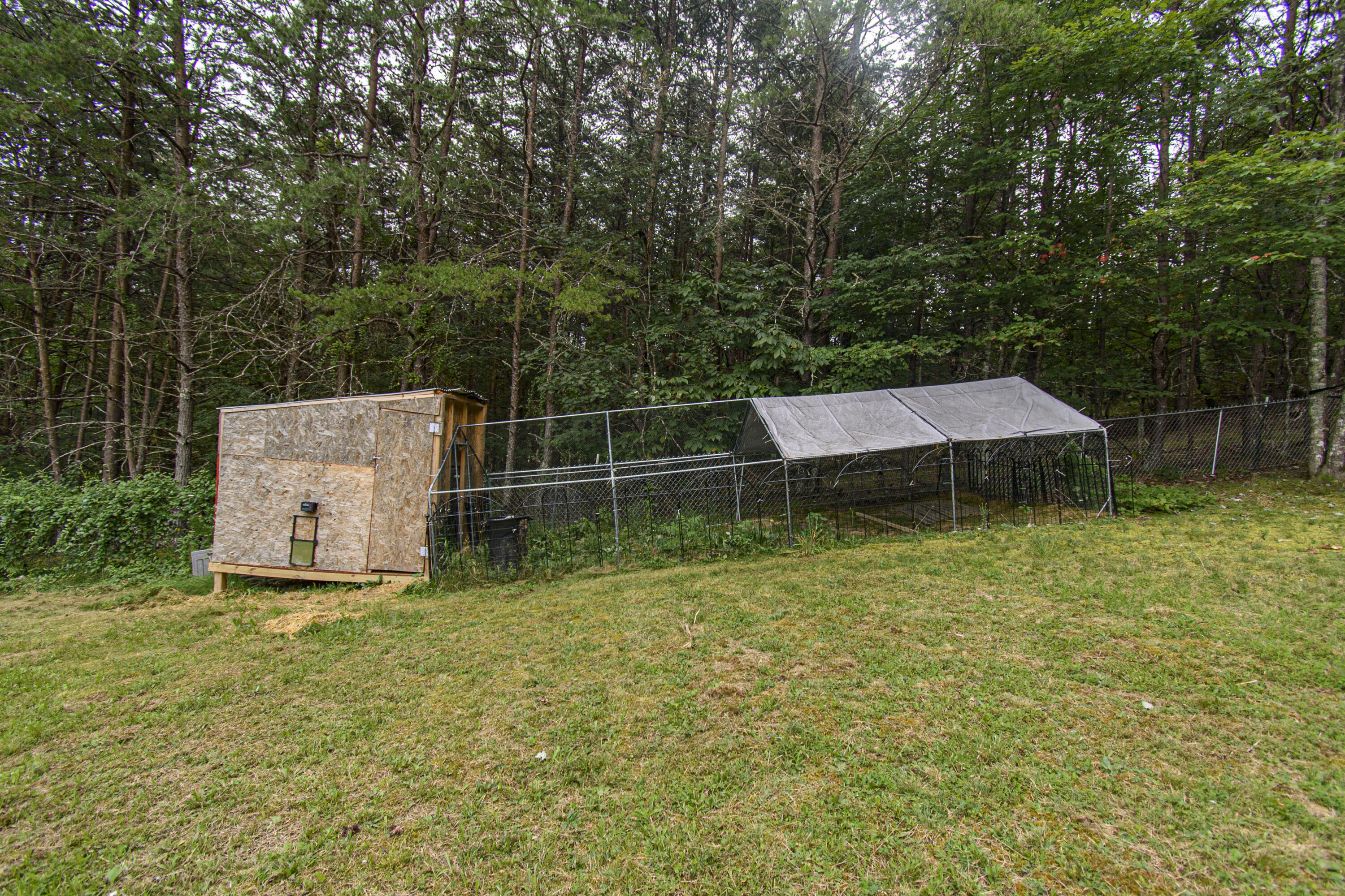 2801 Flatwoods Road Elliston, VA 24087 - Photo 40 of 56 a garden view covered with tall trees
