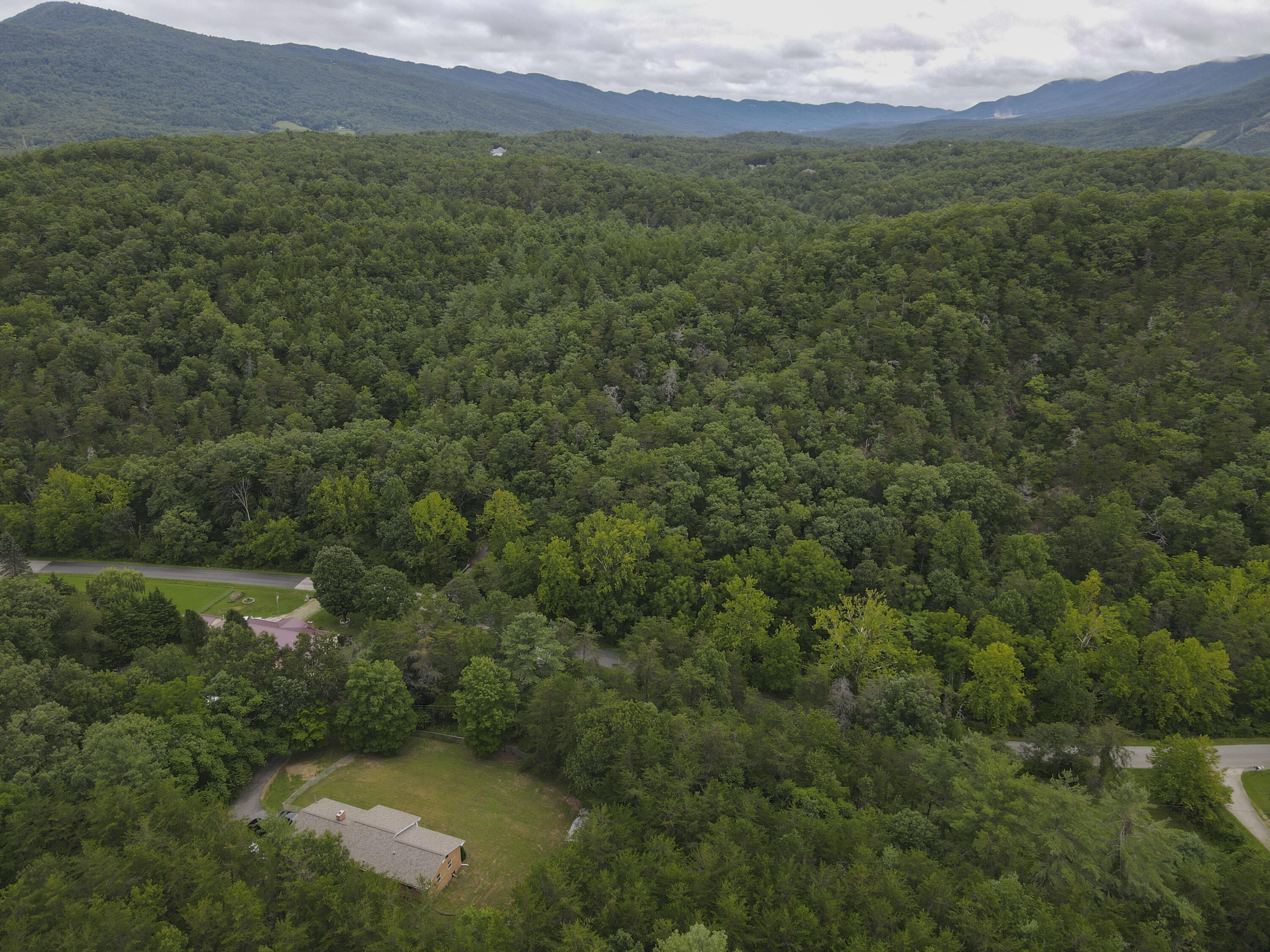 2801 Flatwoods Road Elliston, VA 24087 - Photo 55 of 56 a view of a lush green forest with trees and some houses