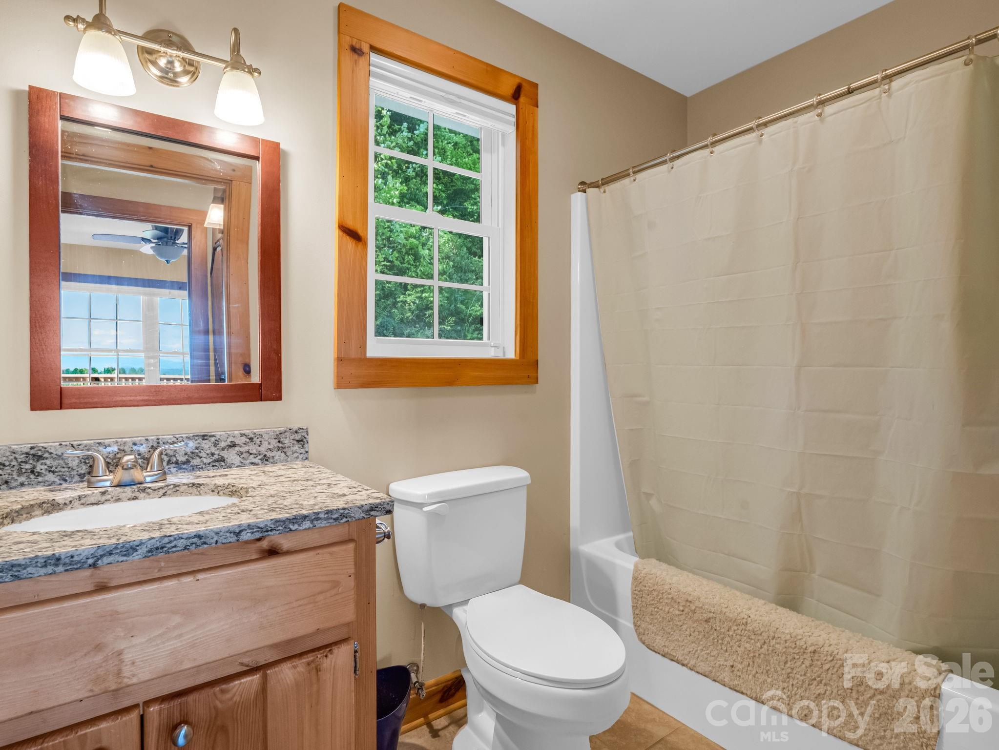 603 Pace Mountain Road Saluda, NC 28773 - Photo 29 of 44 Gallery Image 29