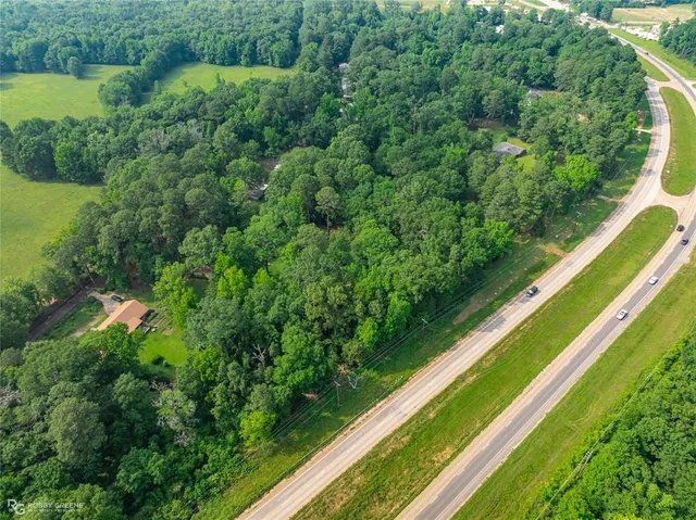 a view of a yard with a wooden bridge