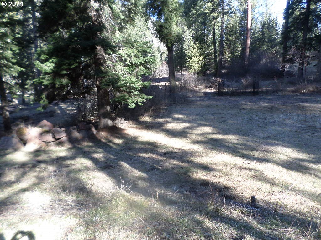 59931 River Canyon Road Imnaha, OR 97842 - Photo 7 of 13
