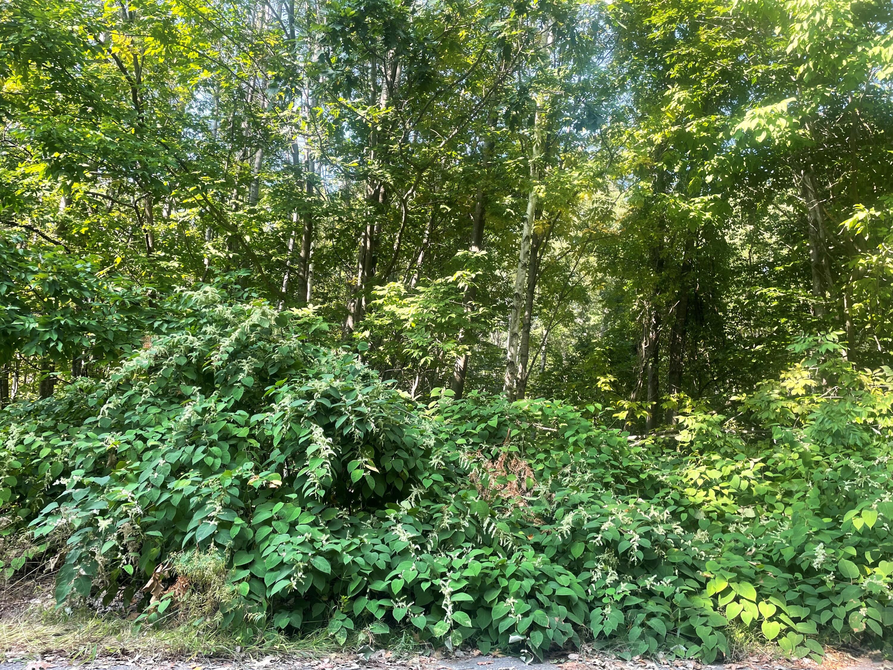 26 Woldbrook Drive Windham, ME 04062 - Photo 4 of 6 Lot