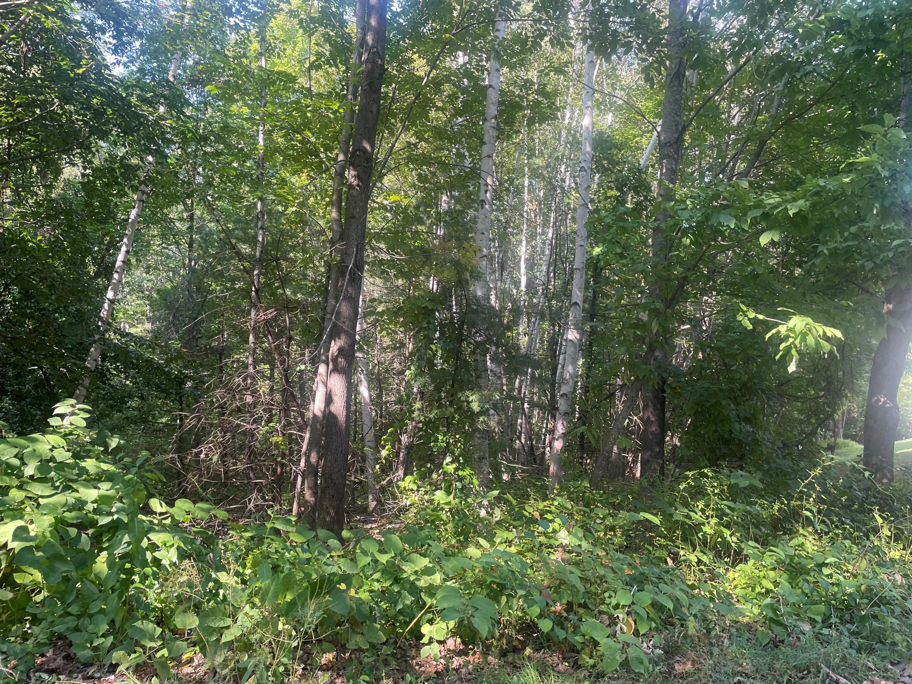 26 Woldbrook Drive Windham, ME 04062 - Photo 5 of 6 Lot