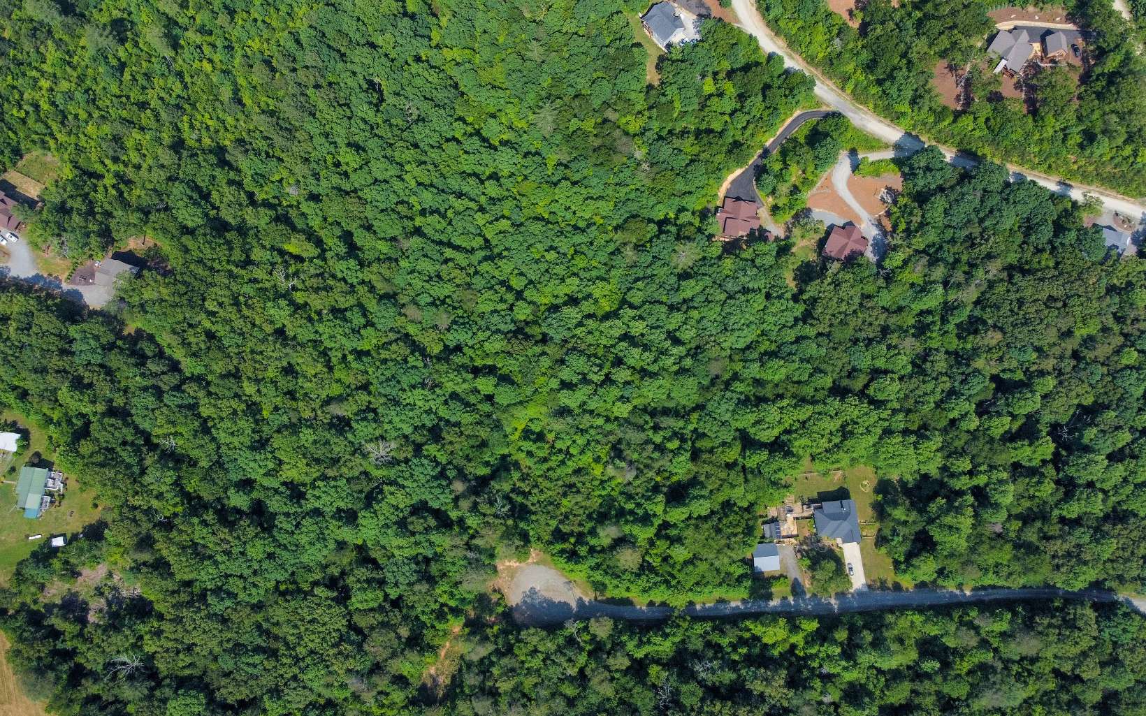 Lot19 Spring Run Drive Blue Ridge, GA 30513 - Photo 8 of 10 Additional View